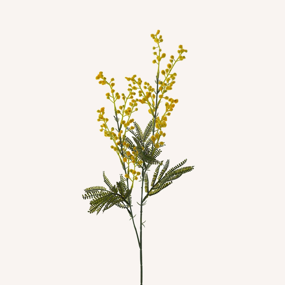 En elegant Mimosa gul, Konstgjord mimosa 75 cm hög med naturligt utseende och känsla. Detaljerad utformning med realistiskt bladverk. 