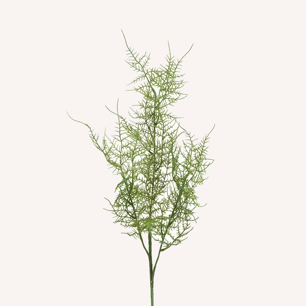 En elegant Fjädersparris Plumosus snittgrönt, Konstgjord fjädersparris snittgrönt 70 cm hög med naturligt utseende och känsla. Detaljerad utformning med realistiskt bladverk. 