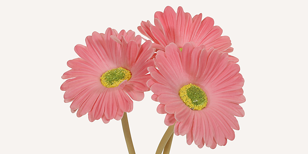 Tre konstgjorda rosa gerberablommor med gul mitt, arrangerade på en vit bakgrund.
