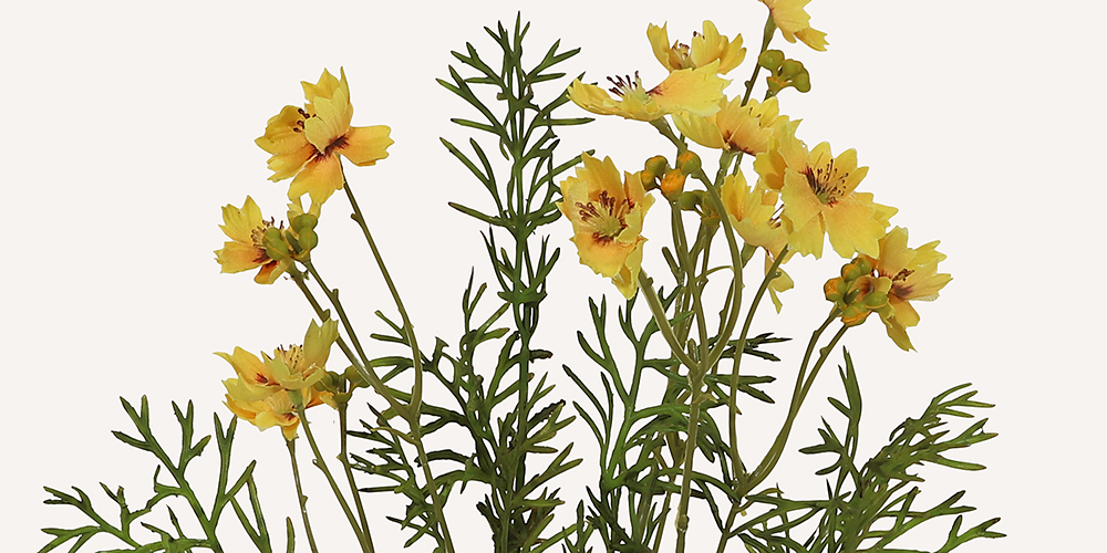 En närbild på tre konstgjorda gula gesajg blommor med flikiga kronblad och mörkare mitt, omgivna av smala gröna blad.