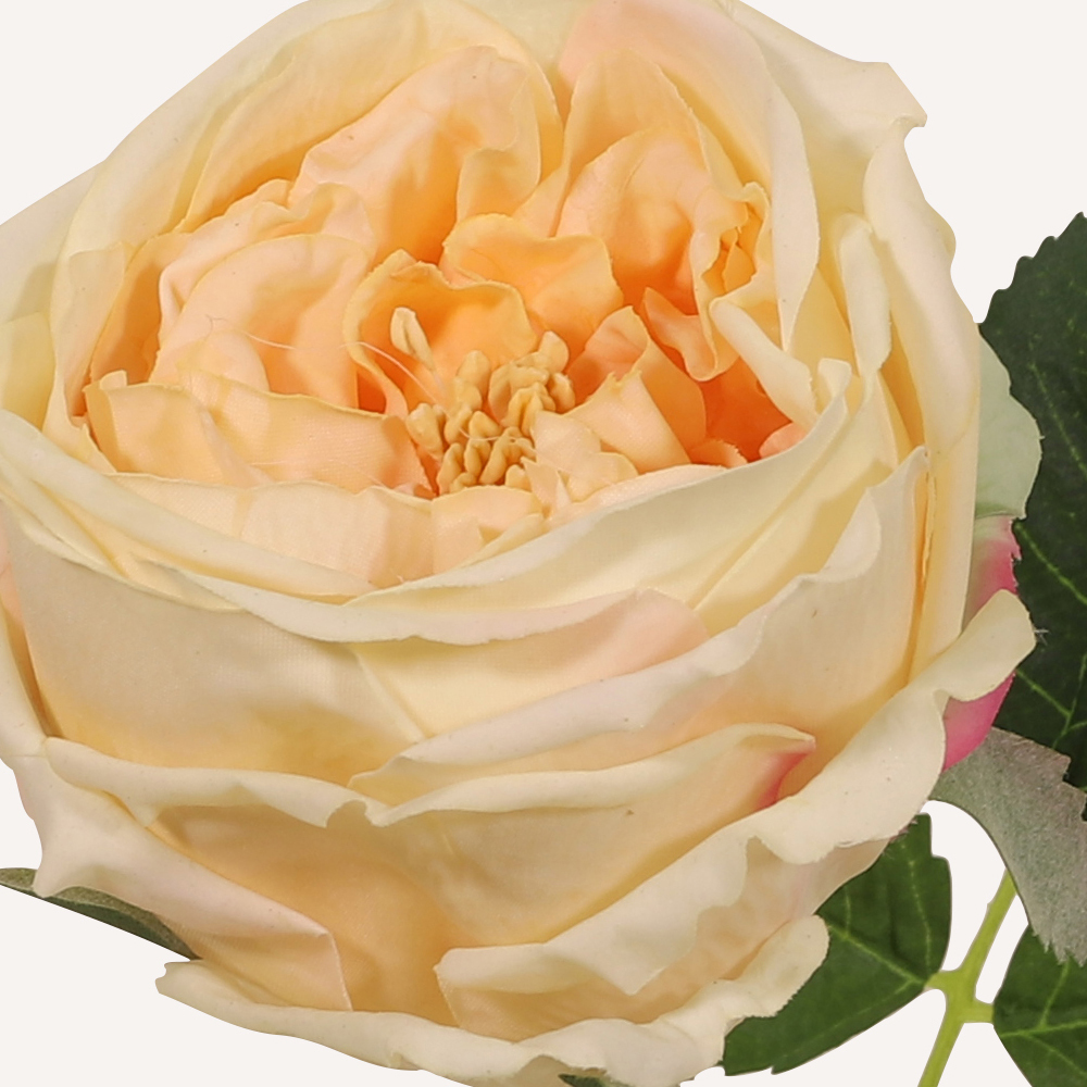 En elegant Ros champange Eden, Konstgjord ros 45 cm hög med naturligt utseende och känsla. Detaljerad utformning med realistiskt bladverk. 1