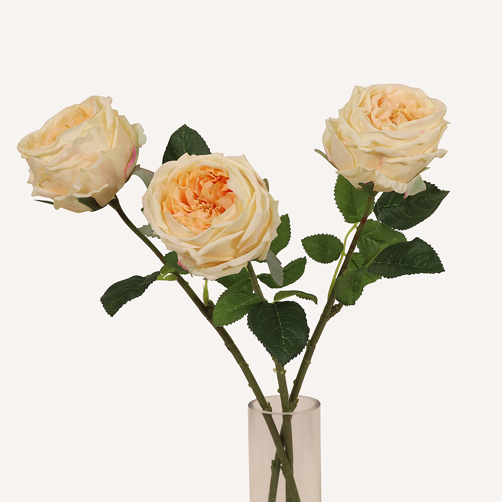 En elegant Ros champange Eden, Konstgjord ros 45 cm hög med naturligt utseende och känsla. Detaljerad utformning med realistiskt bladverk. 3