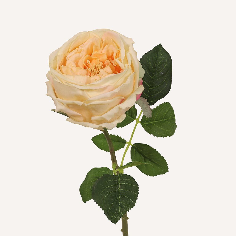 En elegant Ros champange Eden, Konstgjord ros 45 cm hög med naturligt utseende och känsla. Detaljerad utformning med realistiskt bladverk. 