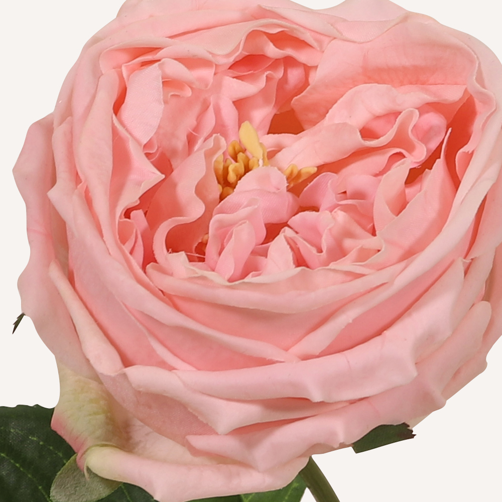 En elegant Ros rosa Eden, Konstgjord ros 45 cm hög med naturligt utseende och känsla. Detaljerad utformning med realistiskt bladverk. 1