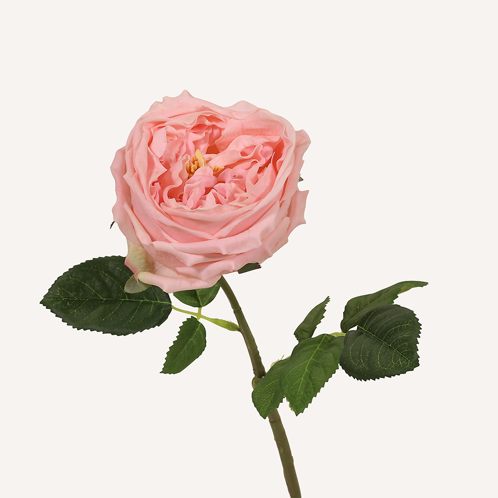 En elegant Ros rosa Eden, Konstgjord ros 45 cm hög med naturligt utseende och känsla. Detaljerad utformning med realistiskt bladverk. 
