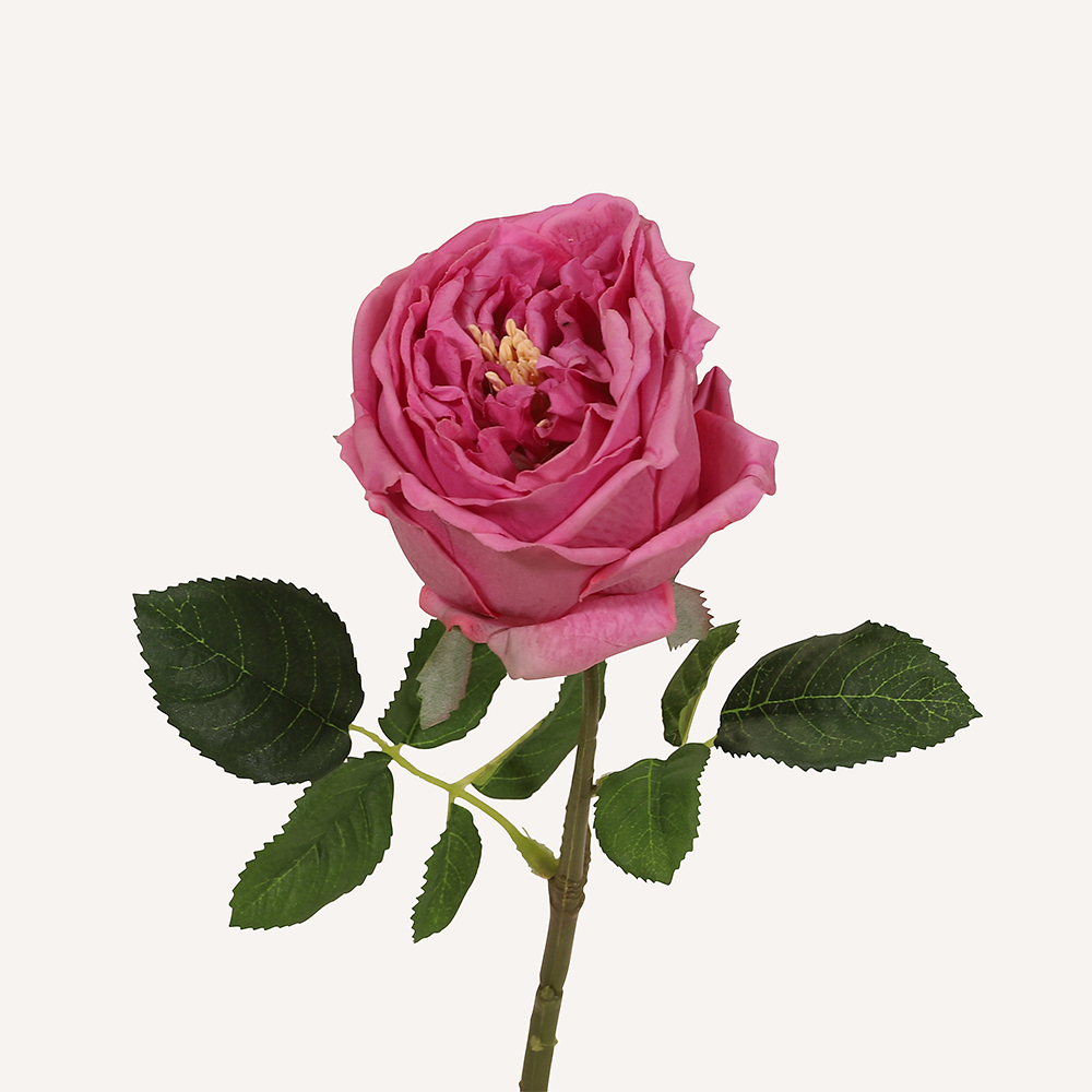 En elegant Ros lila Eden, Konstgjord ros 45 cm hög med naturligt utseende och känsla. Detaljerad utformning med realistiskt bladverk. 