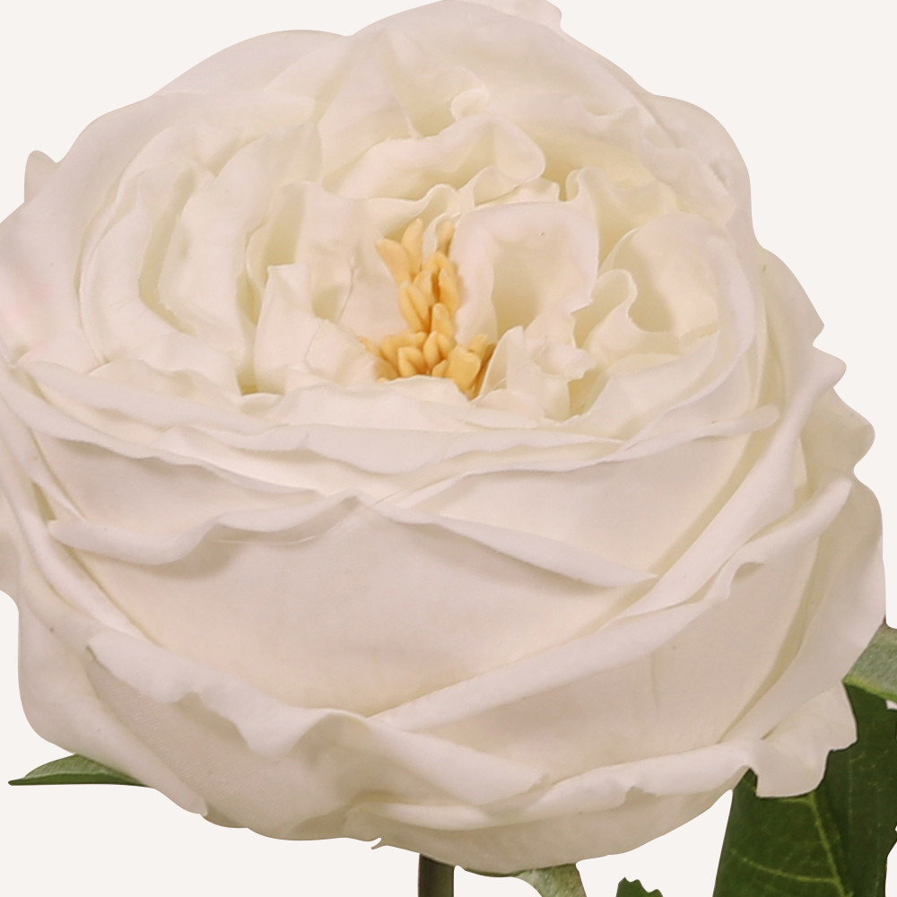 En elegant Ros vit Eden, Konstgjord ros 45 cm hög med naturligt utseende och känsla. Detaljerad utformning med realistiskt bladverk. 1