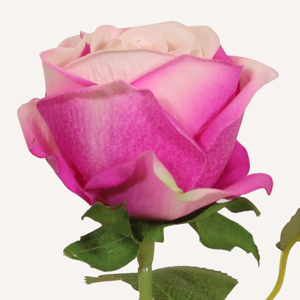 En elegant Ros rosa melerad Velvet, Konstgjord ros 51 cm hög med naturligt utseende och känsla. Detaljerad utformning med realistiskt bladverk. 1