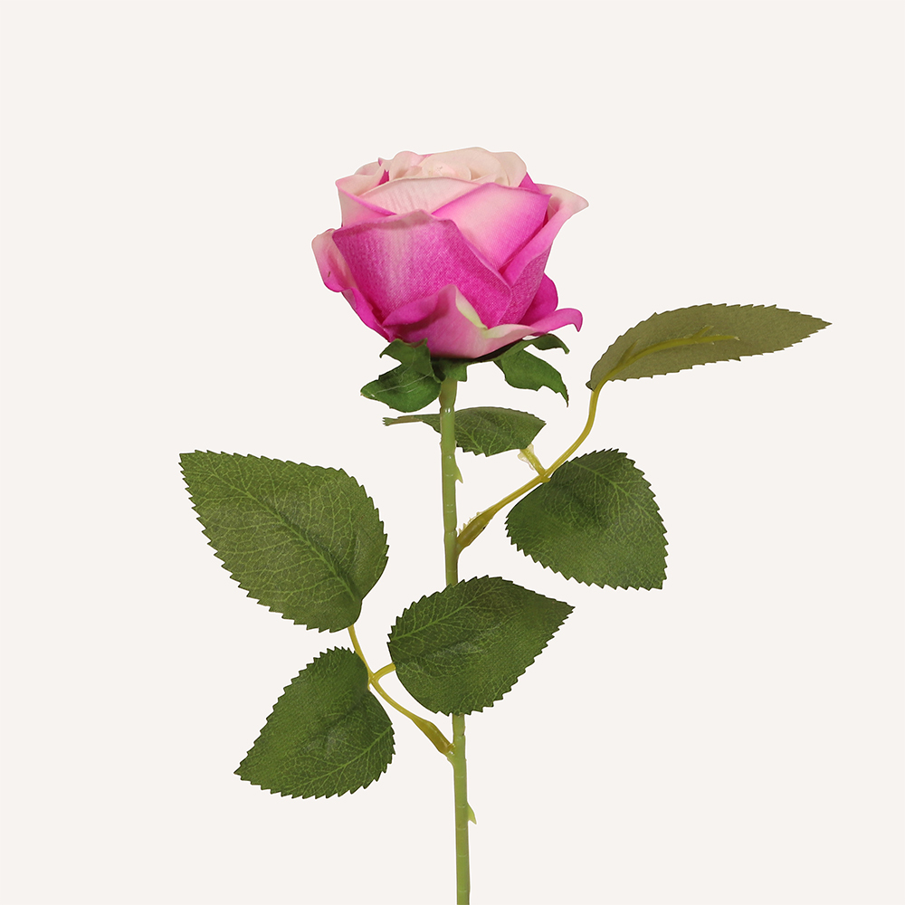 En elegant Ros rosa melerad Velvet, Konstgjord ros 51 cm hög med naturligt utseende och känsla. Detaljerad utformning med realistiskt bladverk. 