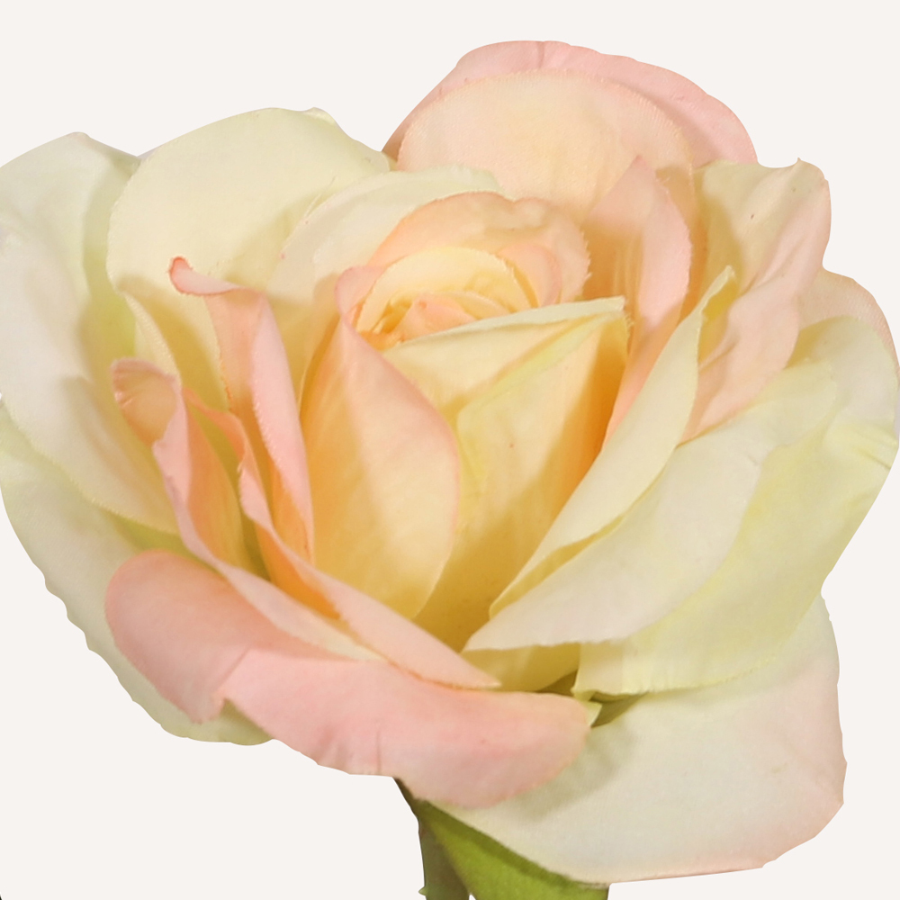 En elegant Ros rosa vanilj Vintage, Konstgjord ros 51 cm hög med naturligt utseende och känsla. Detaljerad utformning med realistiskt bladverk. 1