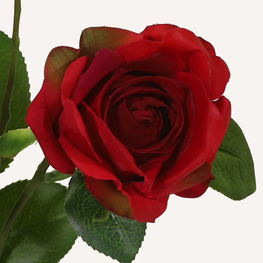 En elegant Buskros röd Annie, Konstgjord ros 45 cm hög 3 blommor med naturligt utseende och känsla. Detaljerad utformning med realistiskt bladverk. 1