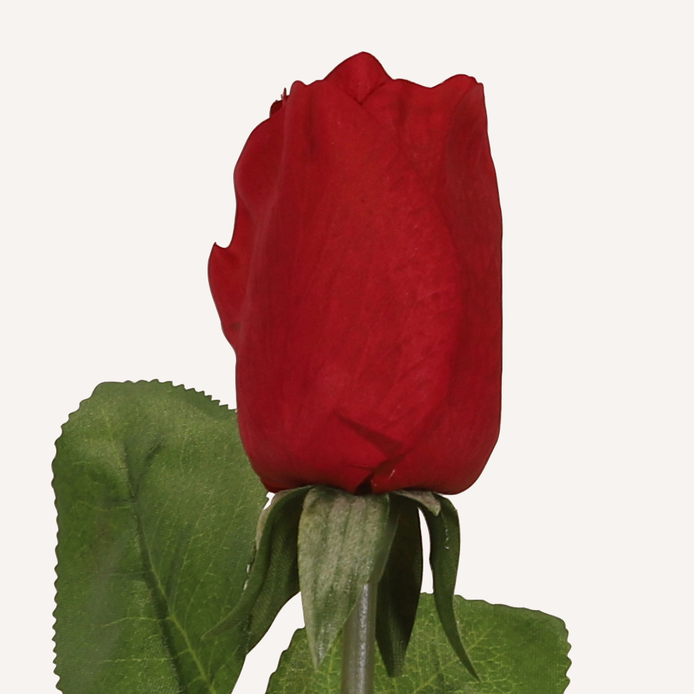 En elegant Rosknopp röd Love, Konstgjord ros 53 cm hög med naturligt utseende och känsla. Detaljerad utformning med realistiskt bladverk. 1