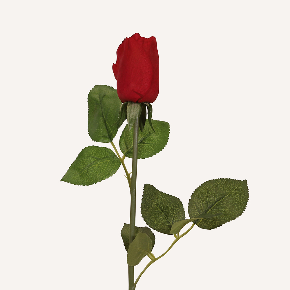 En elegant Rosknopp röd Love, Konstgjord ros 53 cm hög med naturligt utseende och känsla. Detaljerad utformning med realistiskt bladverk. 