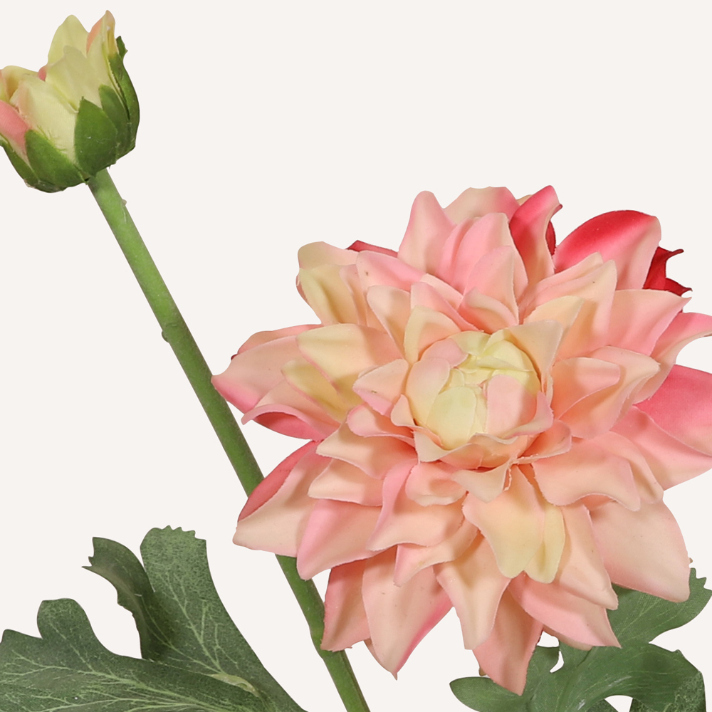 En elegant Dahlia ljusrosa Vincente, Konstgjord dahlia 56 cm hög 2 blommor med naturligt utseende och känsla. Detaljerad utformning med realistiskt bladverk. 