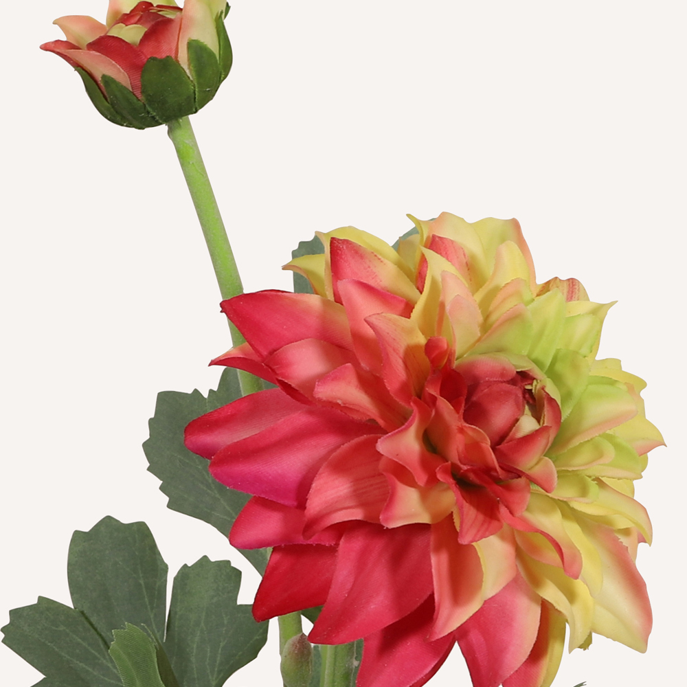 En elegant Dahlia rödgul Vincente, Konstgjord dahlia 56 cm hög 2 blommor med naturligt utseende och känsla. Detaljerad utformning med realistiskt bladverk. 