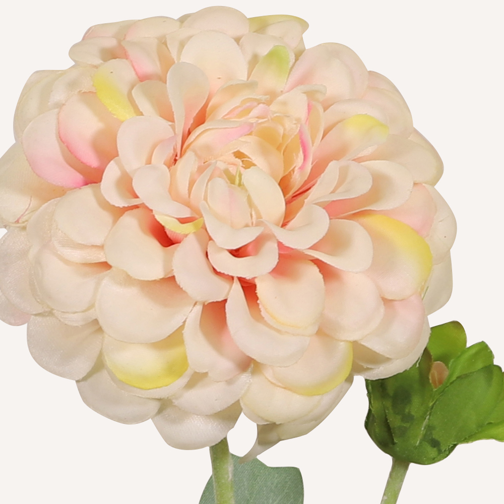 En elegant Dahlia ljusrosa Cavanilles, Konstgjord dahlia 56 cm hög 5 blommor med naturligt utseende och känsla. Detaljerad utformning med realistiskt bladverk. 