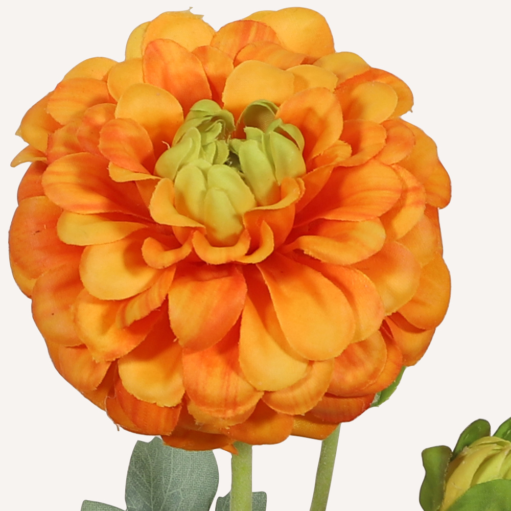 En elegant Dahlia orange Cavanilles, Konstgjord dahlia 56 cm hög 5 blommor med naturligt utseende och känsla. Detaljerad utformning med realistiskt bladverk. 1