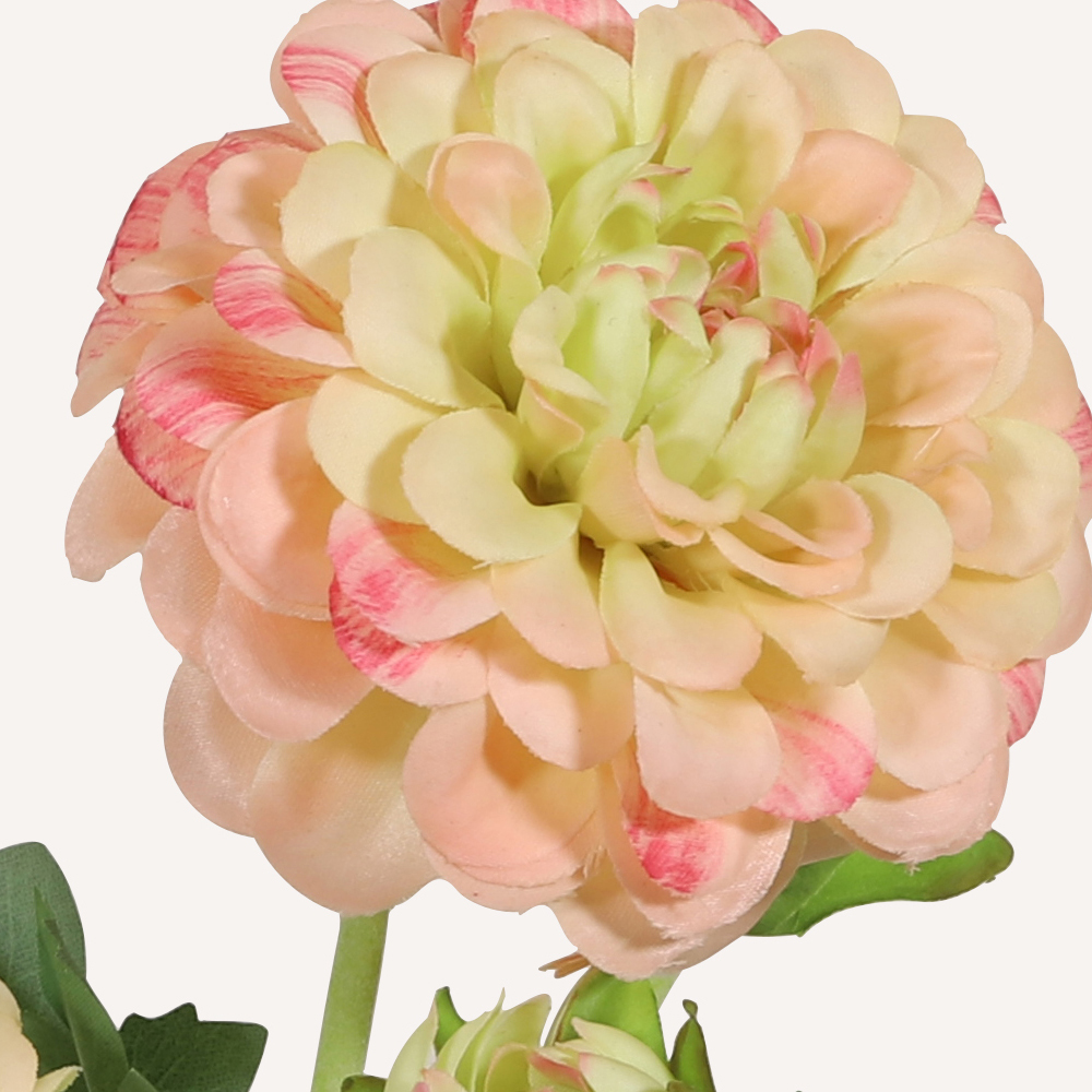En elegant Dahlia rosa Cavanilles, Konstgjord dahlia 56 cm hög 5 blommor med naturligt utseende och känsla. Detaljerad utformning med realistiskt bladverk. 1