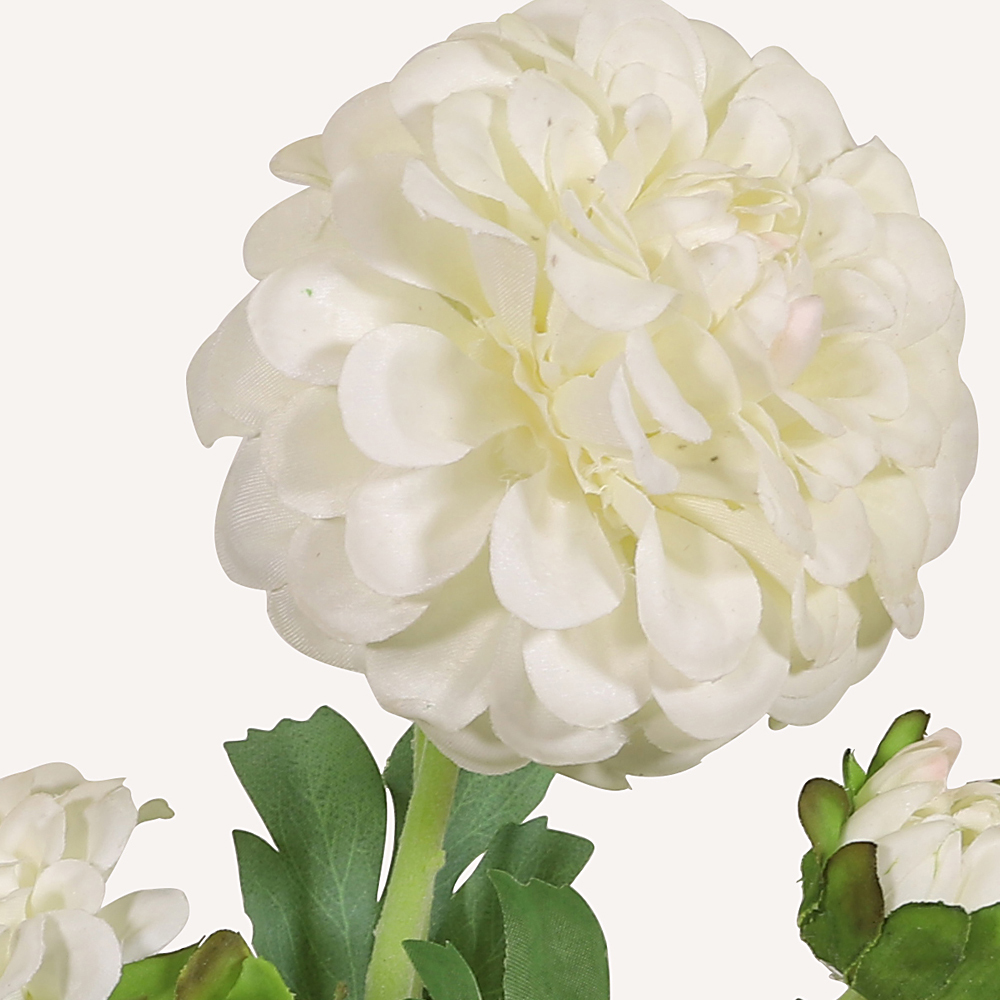 En elegant Dahlia vit Cavanilles, Konstgjord dahlia 56 cm hög 5 blommor med naturligt utseende och känsla. Detaljerad utformning med realistiskt bladverk. 1