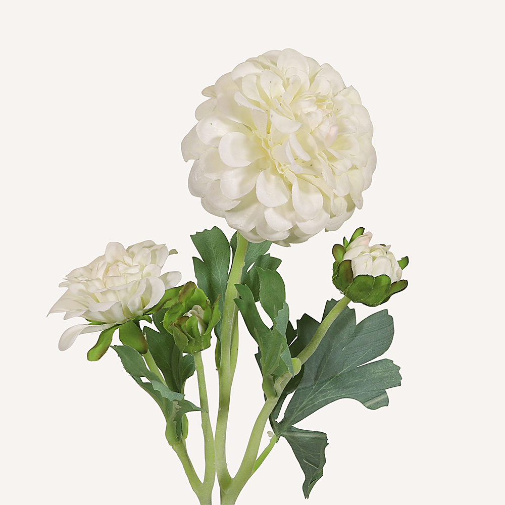 En elegant Dahlia vit Cavanilles, Konstgjord dahlia 56 cm hög 5 blommor med naturligt utseende och känsla. Detaljerad utformning med realistiskt bladverk. 