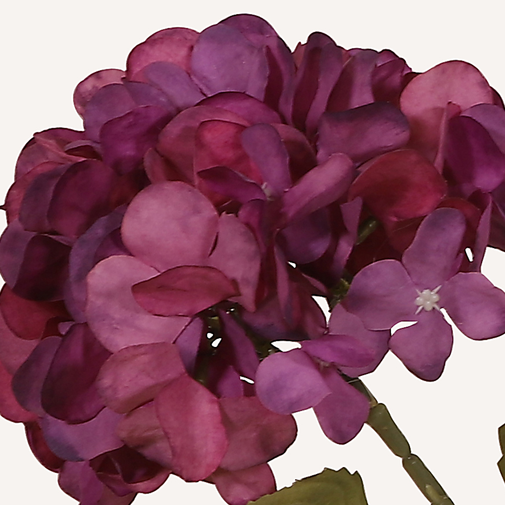 En elegant Hortensia lila Honshu, Konstgjord hortensia 80 cm hög med 2 blommor med naturligt utseende och känsla. Detaljerad utformning med realistiskt bladverk. 1