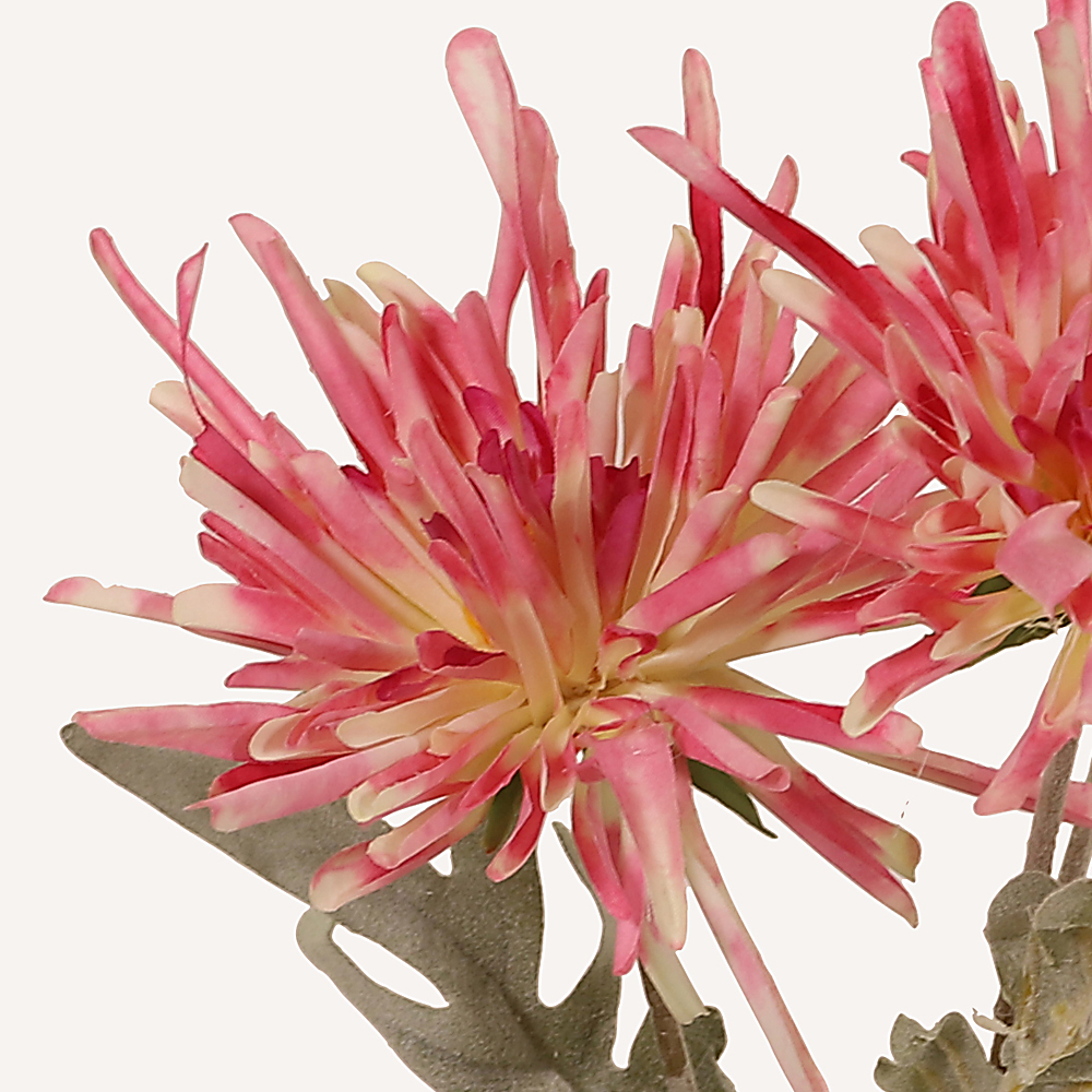 En elegant Krysantemum mörk rosa Shungi, Konstgjord krysantemum 72 cm hög 3 blommor med naturligt utseende och känsla. Detaljerad utformning med realistiskt bladverk. 1