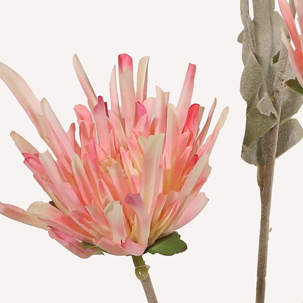 En elegant Krysantemum rosa Shungi, Konstgjord krysantemum 72 cm hög 3 blommor med naturligt utseende och känsla. Detaljerad utformning med realistiskt bladverk. 