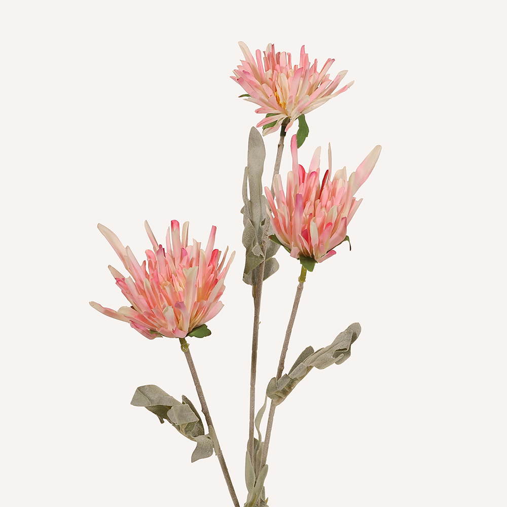 En elegant Krysantemum rosa Shungi, Konstgjord krysantemum 72 cm hög 3 blommor med naturligt utseende och känsla. Detaljerad utformning med realistiskt bladverk. 