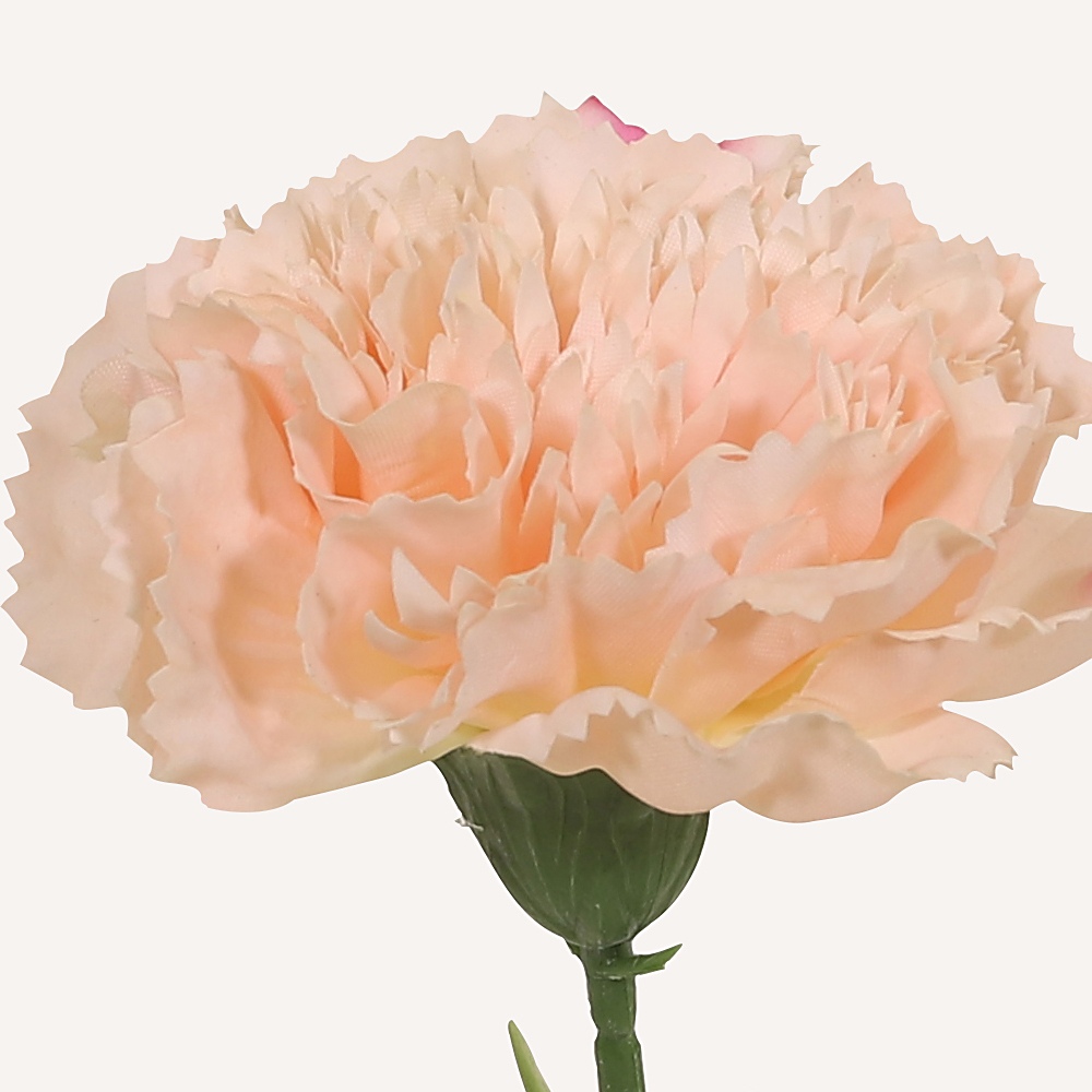 En elegant Nejlika champagne Diana, Konstgjord nejlika 50 cm hög med naturligt utseende och känsla. Detaljerad utformning med realistiskt bladverk. 