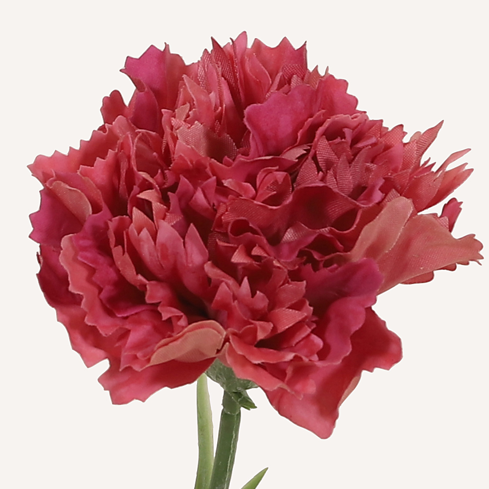 En elegant Nejlika ljusröd Diana, Konstgjord nejlika 50 cm hög med naturligt utseende och känsla. Detaljerad utformning med realistiskt bladverk. 1