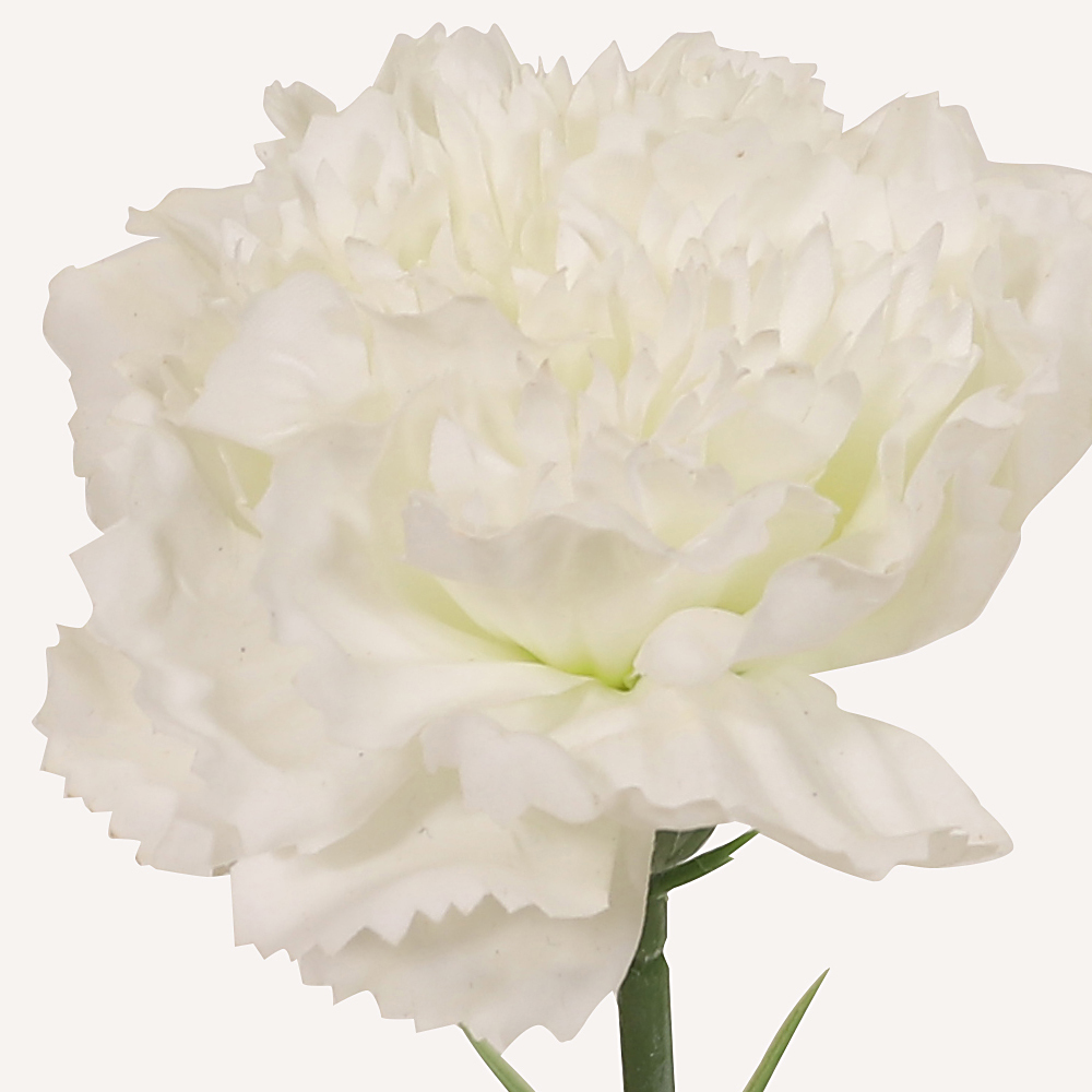 En elegant Nejlika vit Diana, Konstgjord nejlika 50 cm hög med naturligt utseende och känsla. Detaljerad utformning med realistiskt bladverk. 1