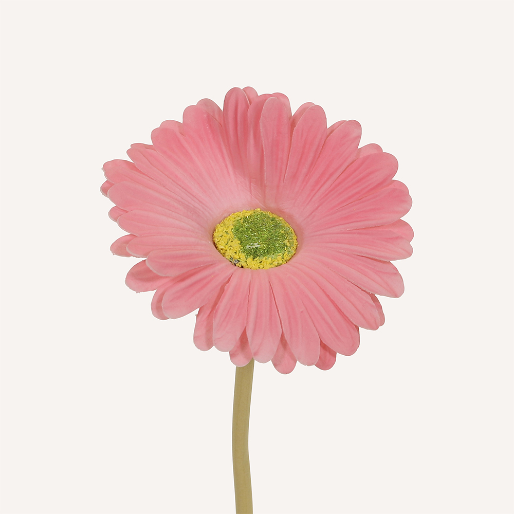 En elegant Gerbera rosa Astrid, Konstgjord gerbera 38 cm hög med naturligt utseende och känsla. Detaljerad utformning med realistiskt bladverk. 