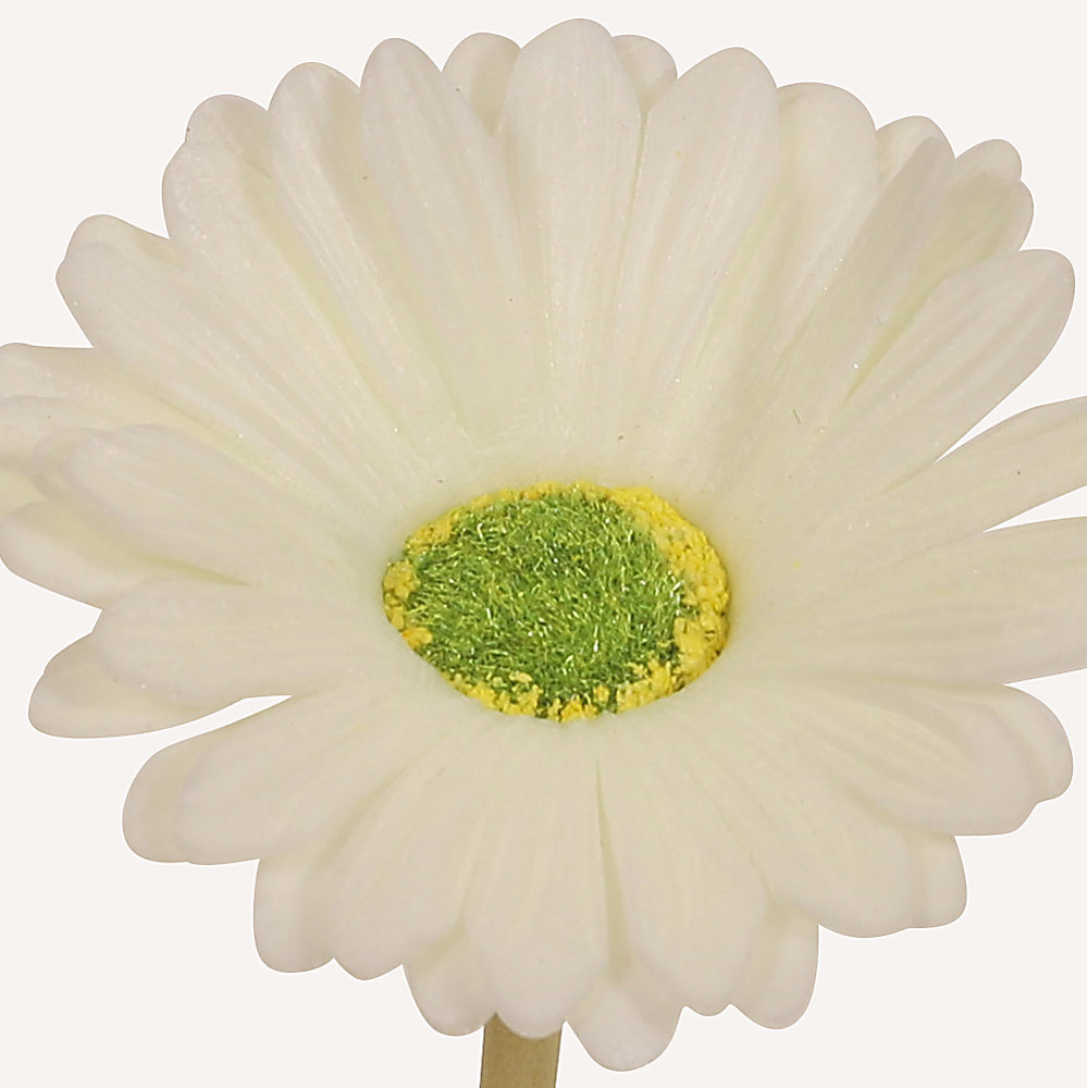 En elegant Gerbera vit Astrid, Konstgjord gerbera 38 cm hög med naturligt utseende och känsla. Detaljerad utformning med realistiskt bladverk. 1