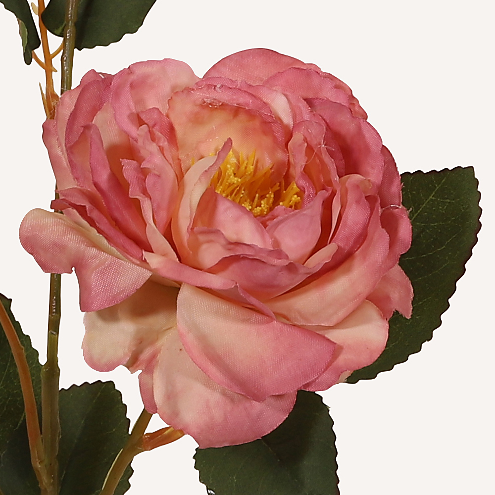 En elegant Pion rosa Plinius, Konstgjord pion 53 cm hög 3 blommor med naturligt utseende och känsla. Detaljerad utformning med realistiskt bladverk. 1