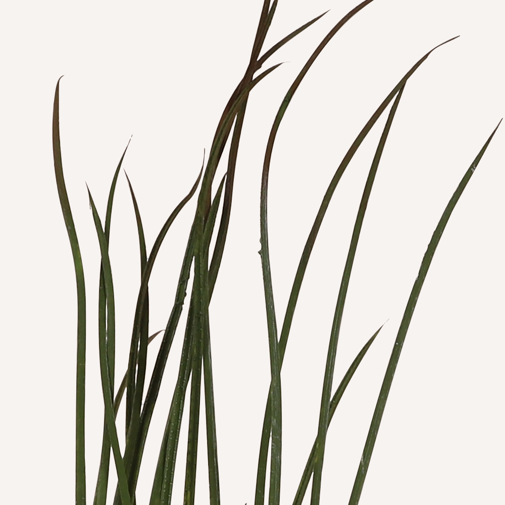 En elegant Gräs snittgrönt, Konstgjord gräs snittgrönt 61 cm hög med naturligt utseende och känsla. Detaljerad utformning med realistiskt bladverk. 1