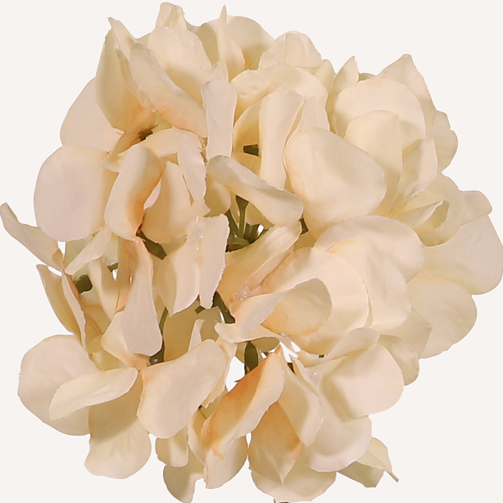 En elegant Hortensia champange Paniculata, Konstgjord hortensia 80 cm hög med 2 blommor med naturligt utseende och känsla. Detaljerad utformning med realistiskt bladverk. 1
