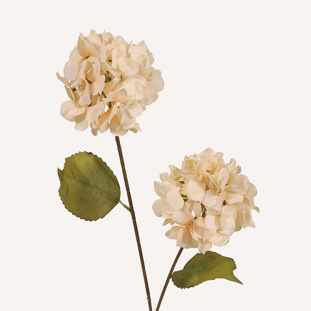 En elegant Hortensia champange Paniculata, Konstgjord hortensia 80 cm hög med 2 blommor med naturligt utseende och känsla. Detaljerad utformning med realistiskt bladverk. 