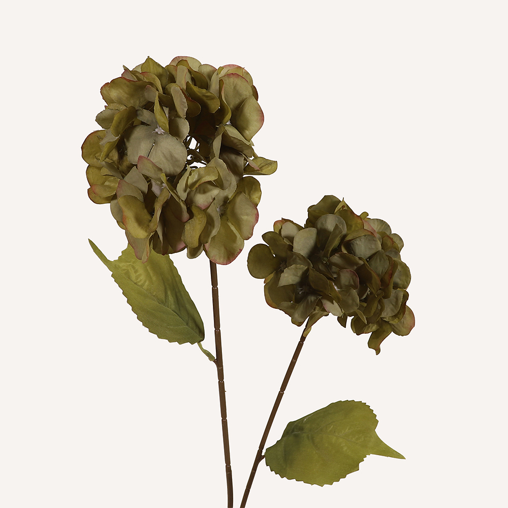 En elegant Hortensia grön Paniculata, Konstgjord hortensia 80 cm hög med 2 blommor med naturligt utseende och känsla. Detaljerad utformning med realistiskt bladverk. 