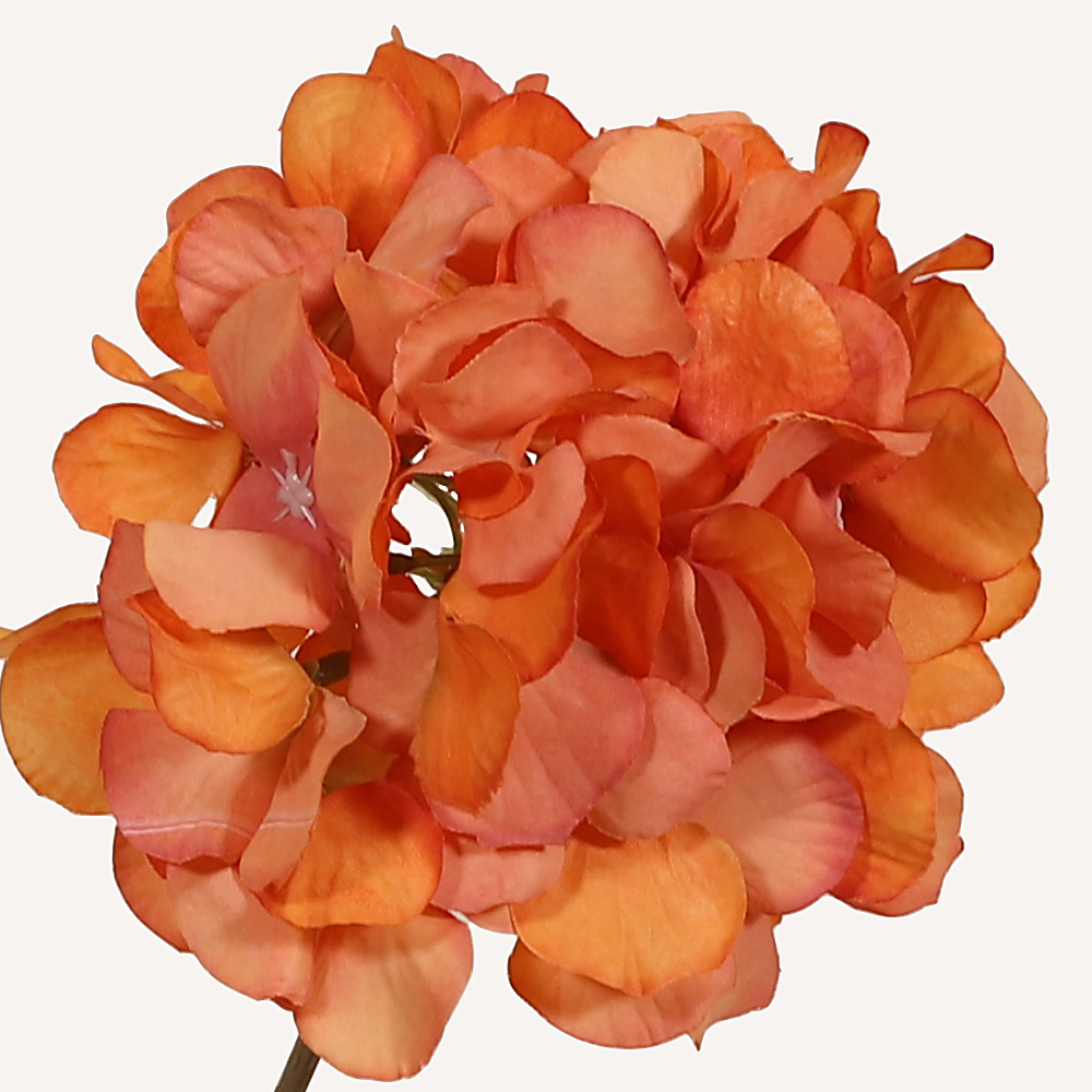 En elegant Hortensia orange Paniculata, Konstgjord hortensia 80 cm hög med 2 blommor med naturligt utseende och känsla. Detaljerad utformning med realistiskt bladverk. 1