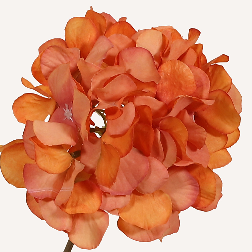 En elegant Hortensia orange Paniculata, Konstgjord hortensia 80 cm hög med 2 blommor med naturligt utseende och känsla. Detaljerad utformning med realistiskt bladverk. 