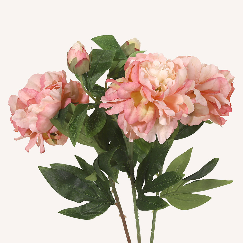 En elegant Pion rosa Lactiflora, Konstgjord pion 63 cm hög med naturligt utseende och känsla. Detaljerad utformning med realistiskt bladverk. 