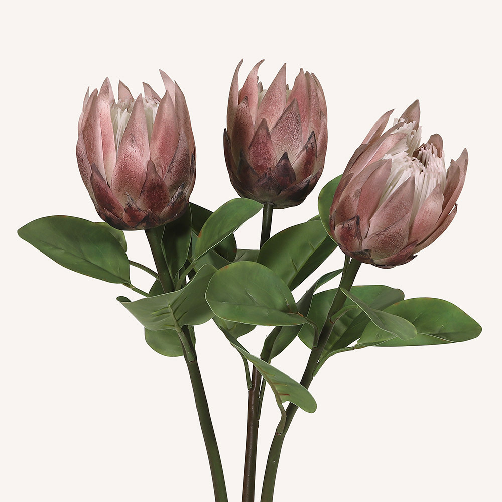 En elegant King Protea beige Cynara, Konstgjord King Protea 67 cm hög med naturligt utseende och känsla. Detaljerad utformning med realistiskt bladverk. 