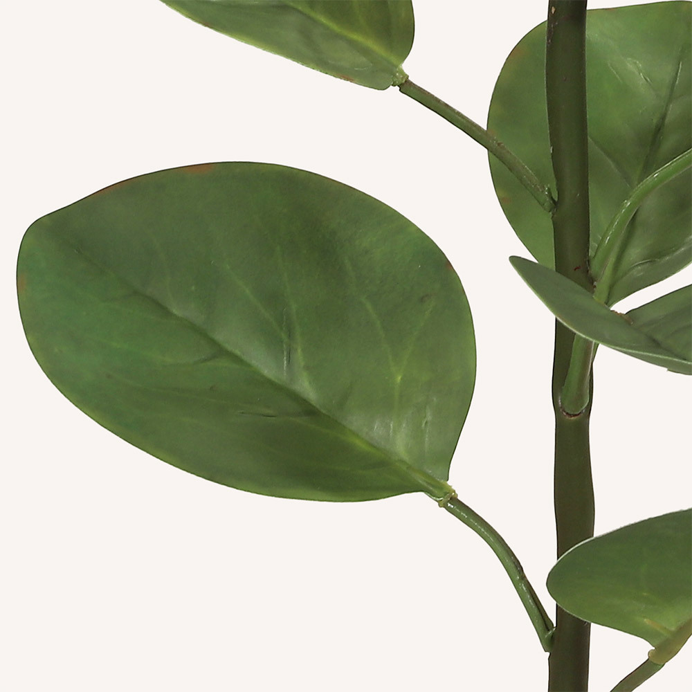 En elegant King Protea beige Cynara, Konstgjord King Protea 67 cm hög med naturligt utseende och känsla. Detaljerad utformning med realistiskt bladverk. 