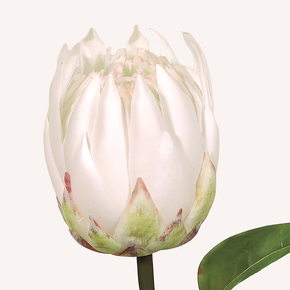 En elegant King Protea vit Cynara, Konstgjord King Protea 67 cm hög med naturligt utseende och känsla. Detaljerad utformning med realistiskt bladverk. 