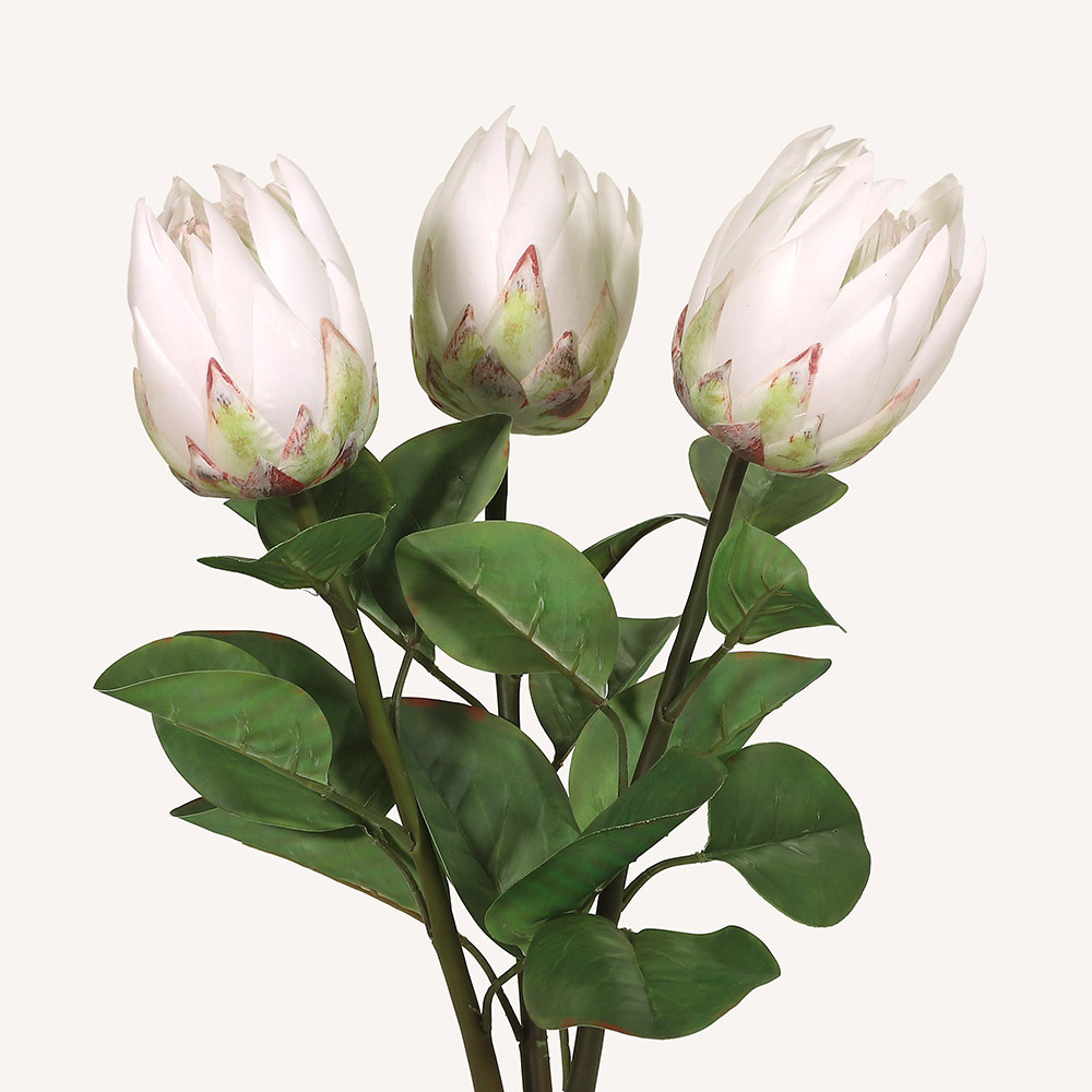 En elegant King Protea vit Cynara, Konstgjord King Protea 67 cm hög med naturligt utseende och känsla. Detaljerad utformning med realistiskt bladverk. 
