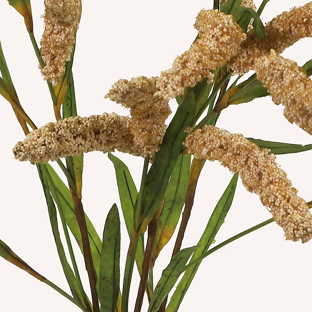 En elegant Fjäderborstgräs beige snittgrönt, Konstgjord fjäderborstgräs snittgrönt 80 cm hög med naturligt utseende och känsla. Detaljerad utformning med realistiskt bladverk. 