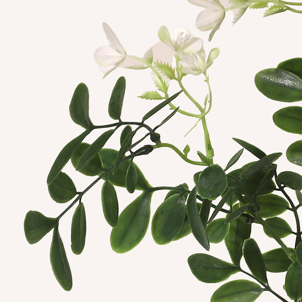 En elegant Sophorae vit snittgrönt, Konstgjord sophorae snittgrönt 80 cm hög med naturligt utseende och känsla. Detaljerad utformning med realistiskt bladverk. 