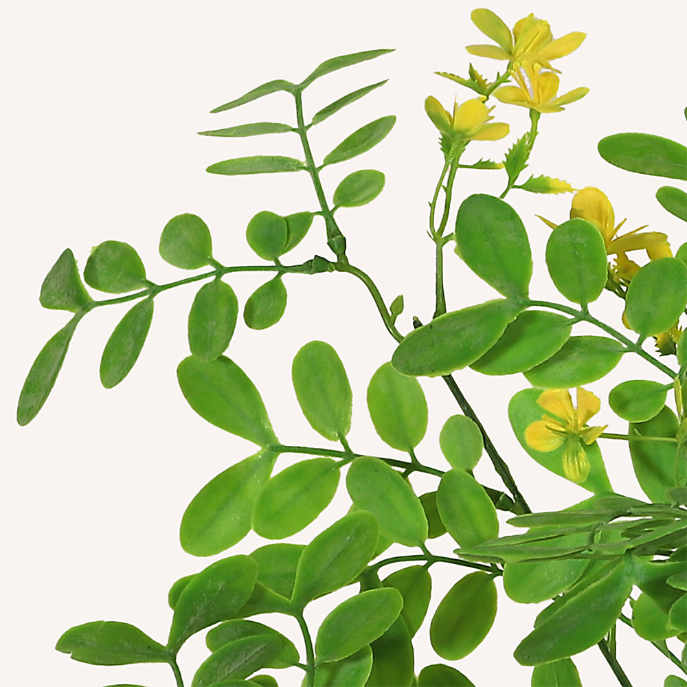 En elegant Sophorae gul snittgrönt, Konstgjord sophorae snittgrönt 80 cm hög med naturligt utseende och känsla. Detaljerad utformning med realistiskt bladverk. 