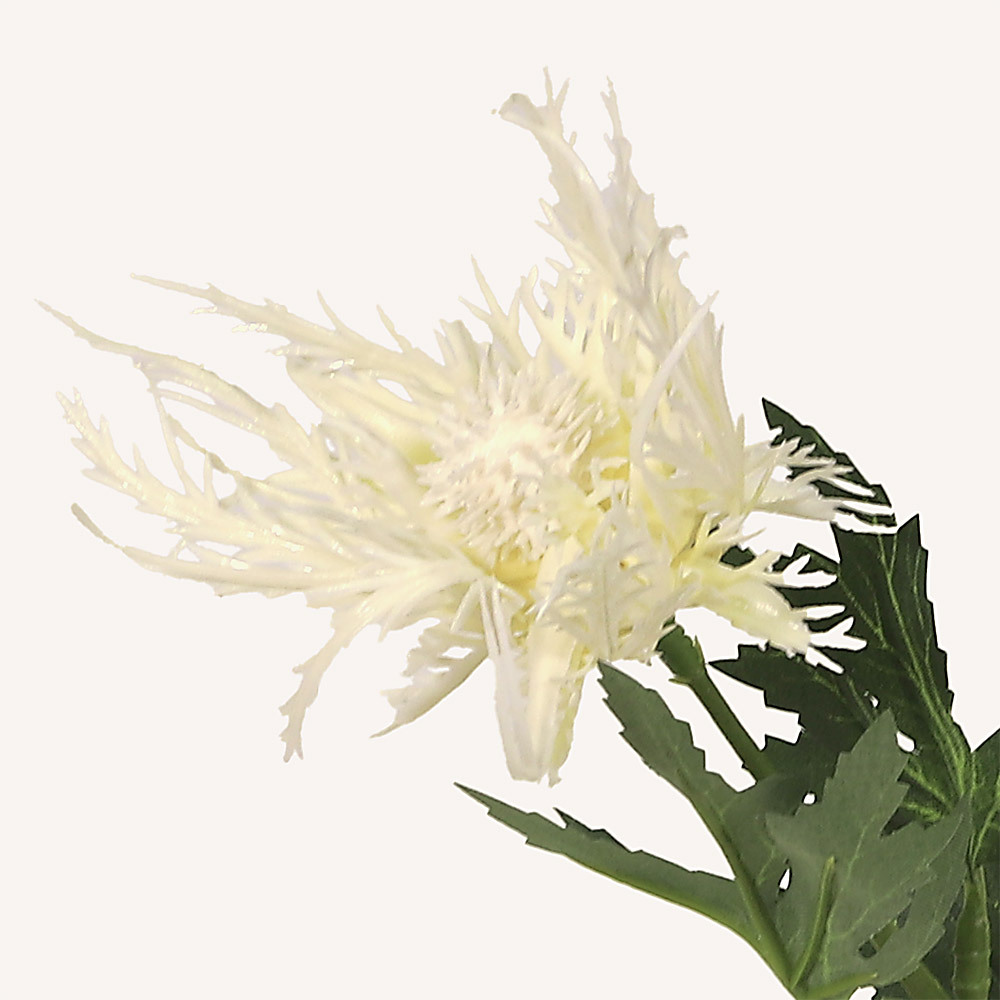 En elegant Tistel champagne snittgrönt, Konstgjord tistel snittgrönt 66 cm hög med naturligt utseende och känsla. Detaljerad utformning med realistiskt bladverk. 